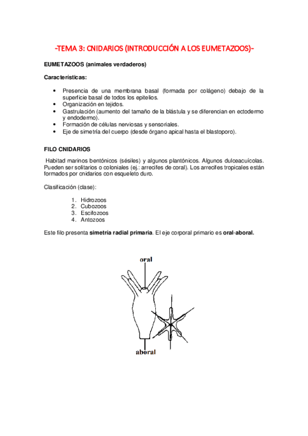 Miniatura del documento TEMA-3-CNIDARIOS.pdf