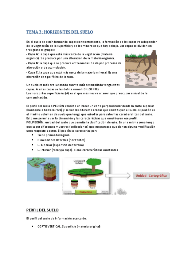 Miniatura del documento TEMA 3.pdf