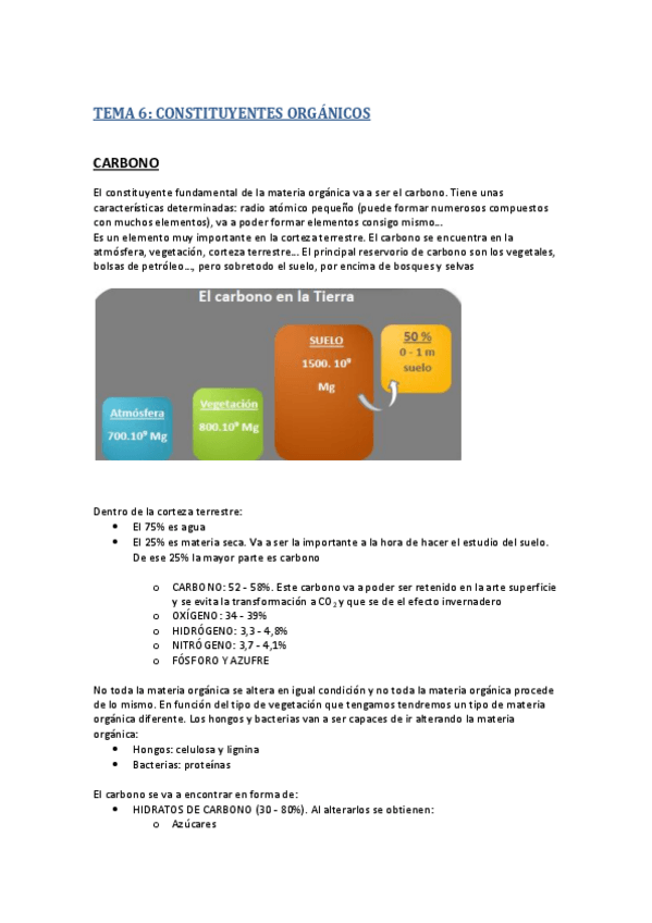 Miniatura del documento TEMA 6.pdf