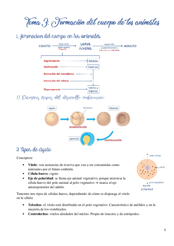 Miniatura del documento Tema-3.pdf