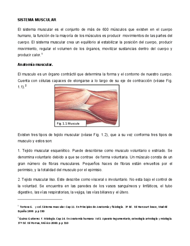 Miniatura del documento SISTEMA MUSCULAR-FISIOLOGIA.pdf