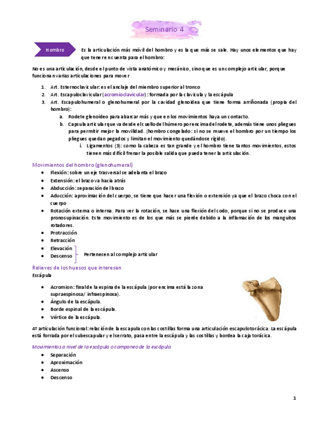 Miniatura del documento Seminario-4.pdf