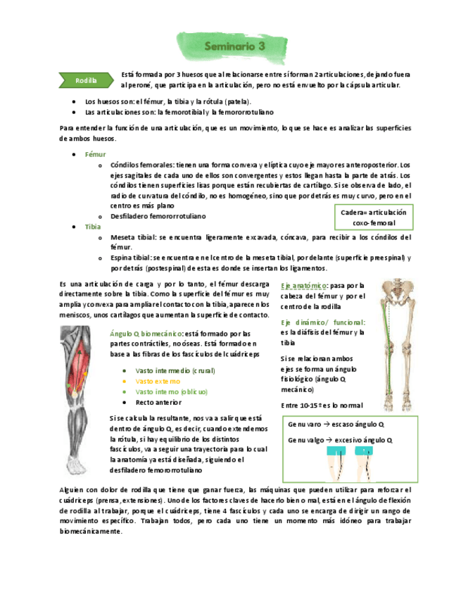 Miniatura del documento Seminario-3.pdf