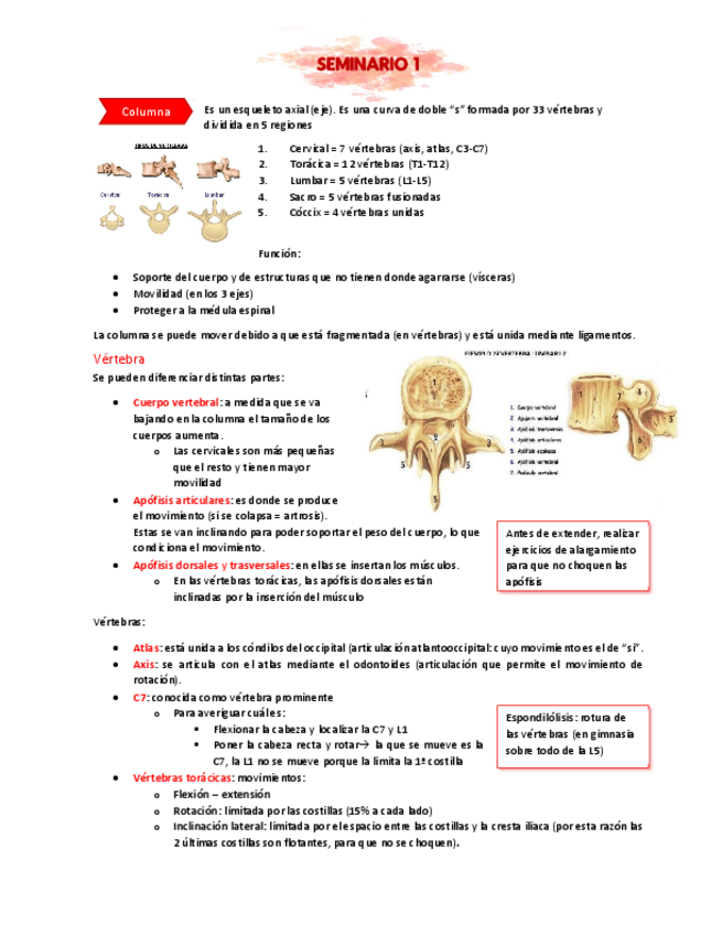 Miniatura del documento Seminario-1.pdf