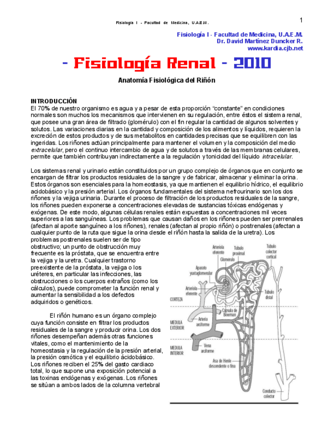 Miniatura del documento FISIOLOGIA RENAL Y URINARIA.pdf