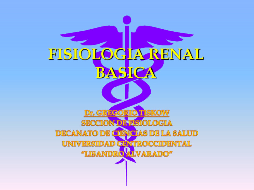 Miniatura del documento FISIOLOGIA RENAL BASICA.pdf