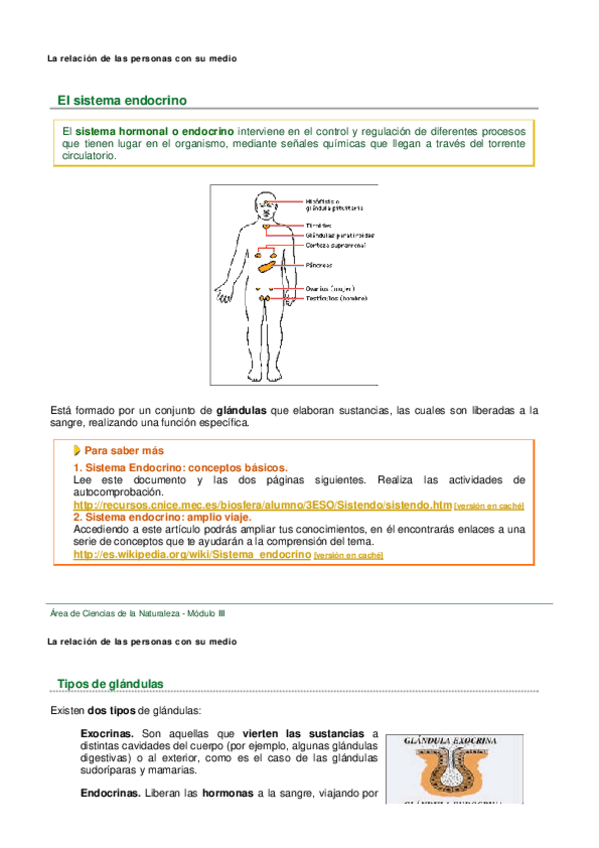 Miniatura del documento SISTEMA HORMONAL O ENDOCRINO.pdf