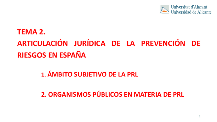 Miniatura del documento TEMA-2-ARTICULACION-JCA-definitivo.pdf