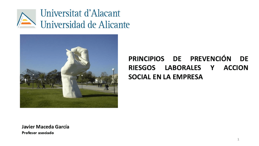 Miniatura del documento TEMA-1-DEFINITIVO.pdf