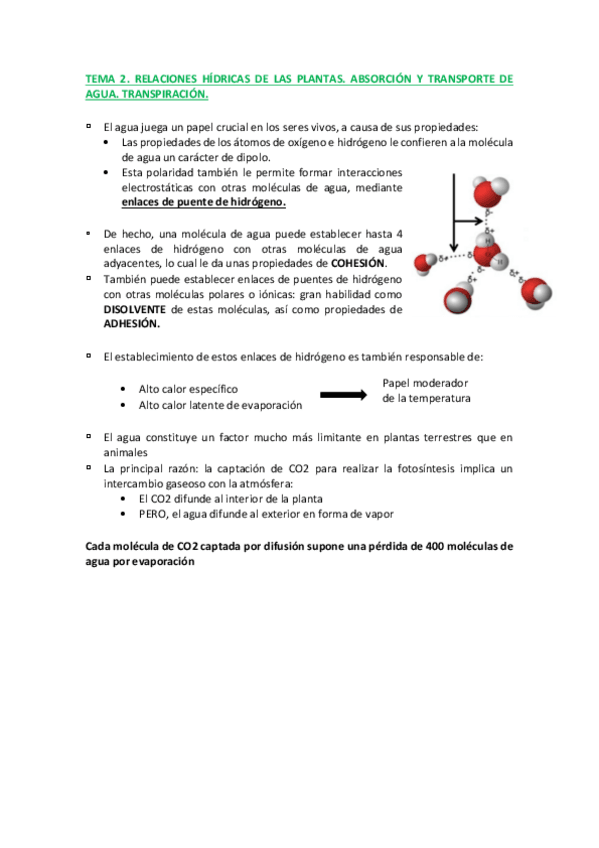 Miniatura del documento TEMA-2-C.pdf