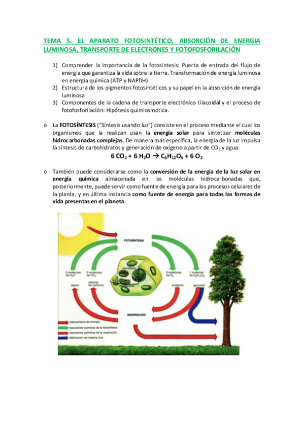 Miniatura del documento TEMA-5-C.pdf