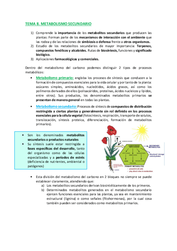 Miniatura del documento TEMA-8-C.pdf