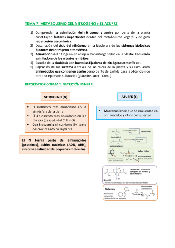 Miniatura del documento TEMA-7-C.pdf