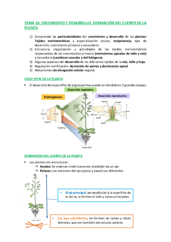 Miniatura del documento TEMA-10-C.pdf