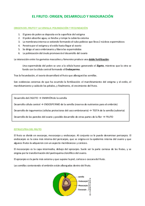 Miniatura del documento TEMA-13-FRUTO.pdf