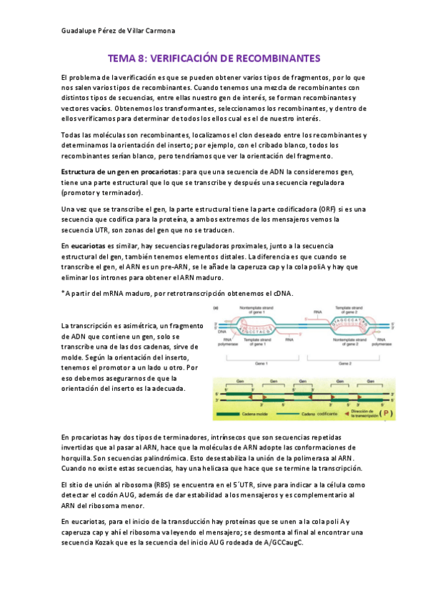 Miniatura del documento TEMA-8.pdf