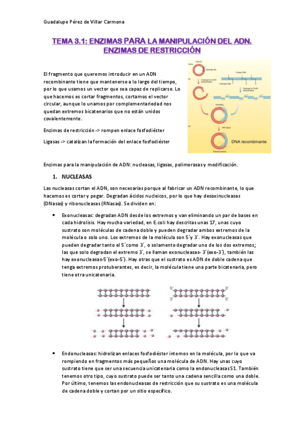 Miniatura del documento TEMA-3.pdf