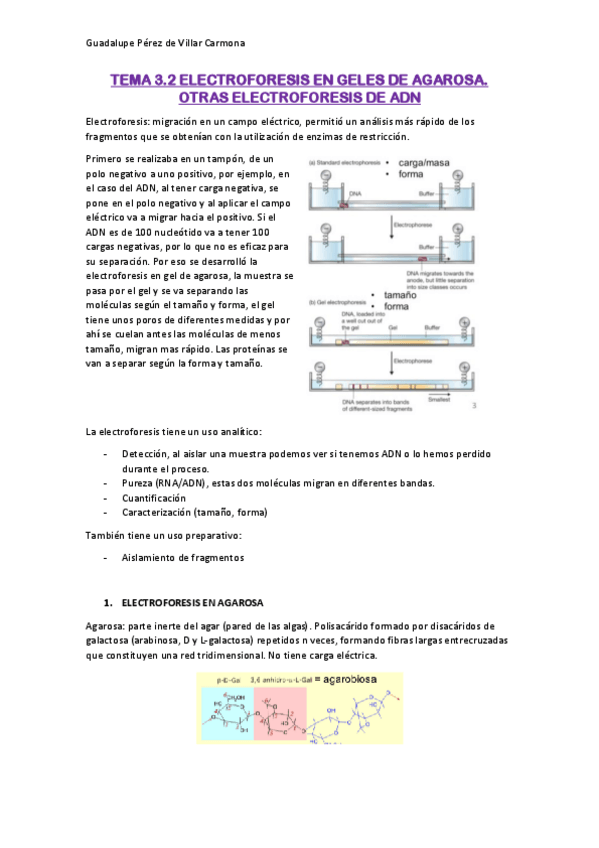 Miniatura del documento TEMA-3.pdf