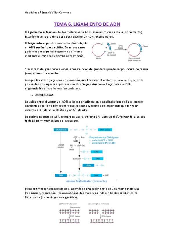 Miniatura del documento TEMA-6.pdf