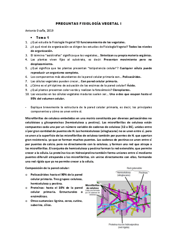 Miniatura del documento EXAMEN-TEMA-1.pdf