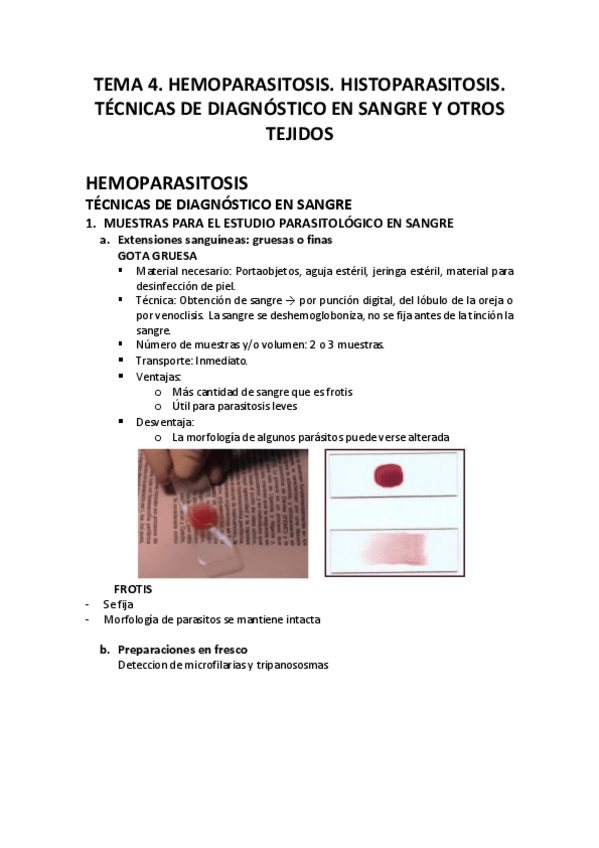 Miniatura del documento MYP-ST4.pdf