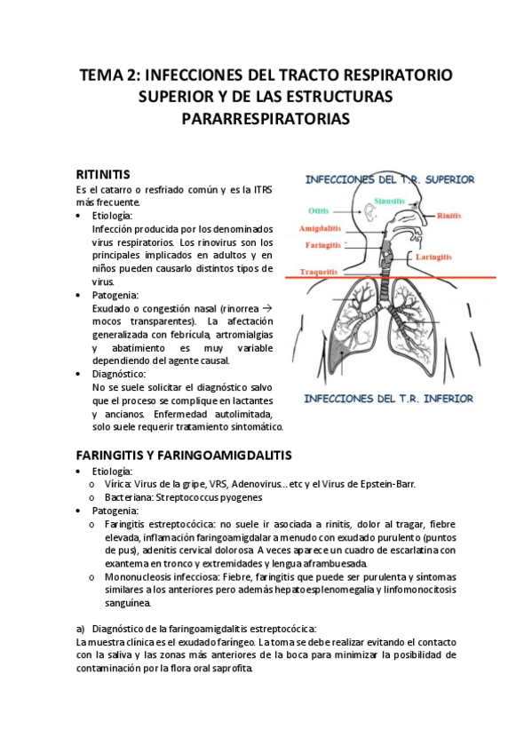 Miniatura del documento MYP-T2.pdf