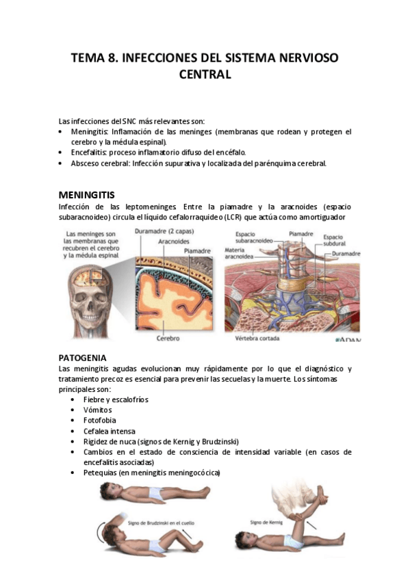 Miniatura del documento MYP-T8.pdf