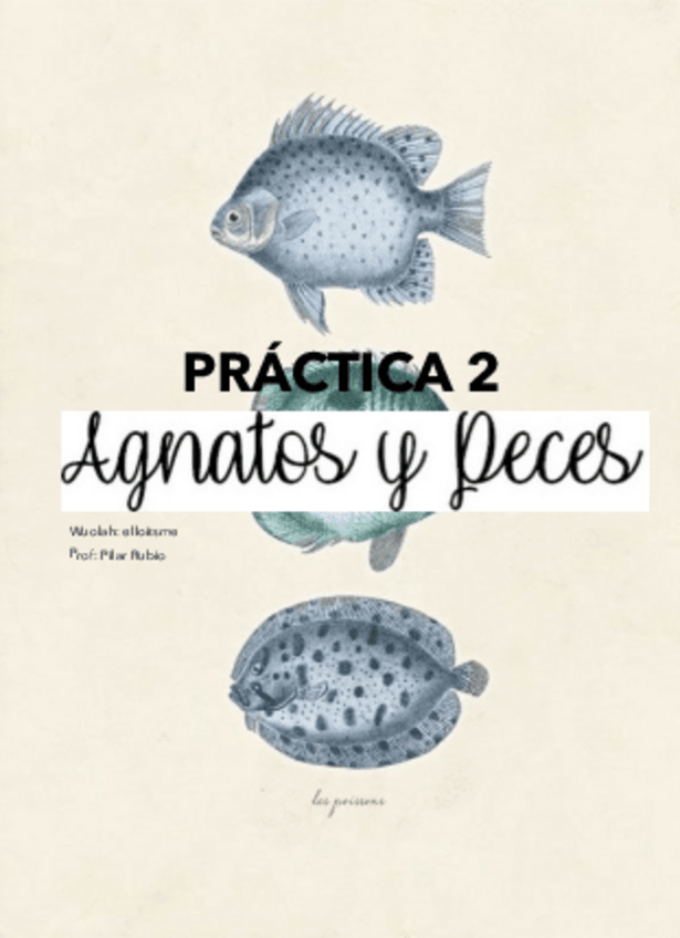 Miniatura del documento Diario-de-Practicas-II-Agnatos-y-Peces.pdf