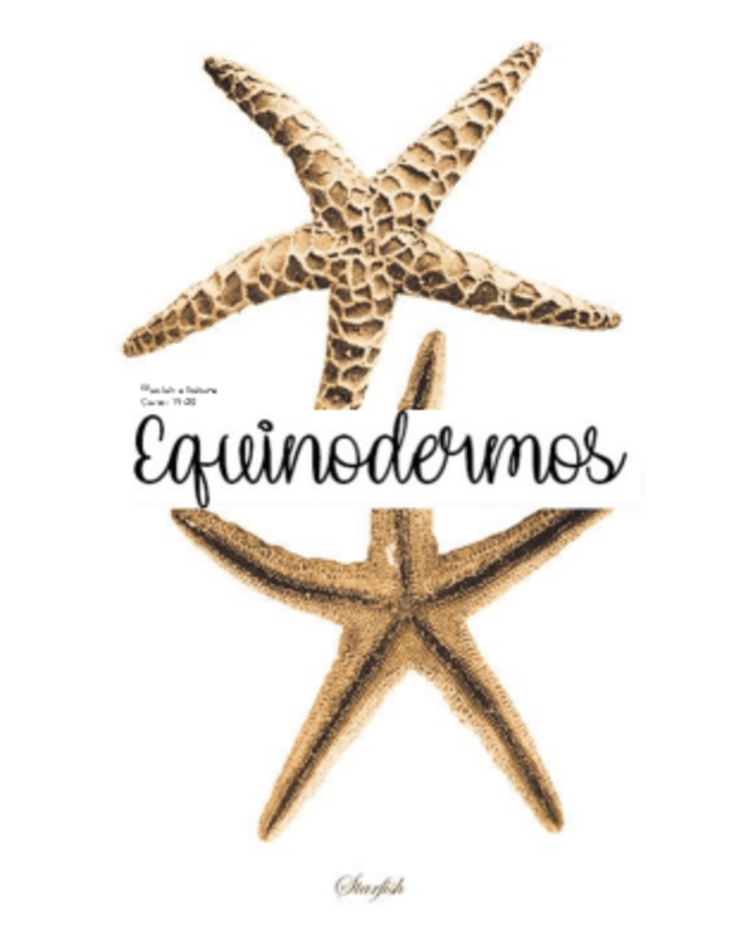 Miniatura del documento Diario-de-practicas-I-1.pdf