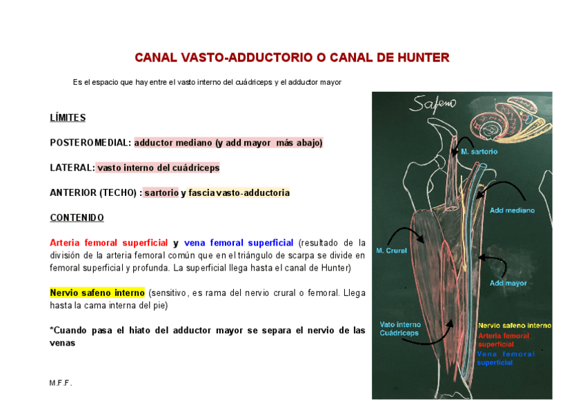 Miniatura del documento CANAL-VASTO-ADDUCTORIO-O-CANAL-DE-HUNTER.pdf