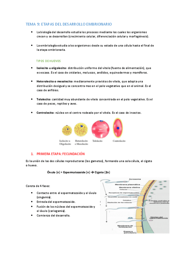 Miniatura del documento TEMA-9-apuntes.pdf