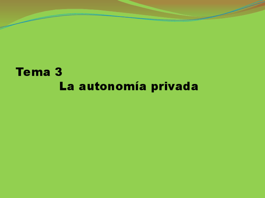 Miniatura del documento T3.pdf