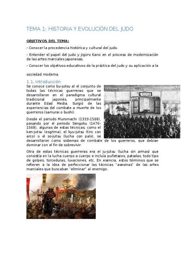 Miniatura del documento Apuntes-judo.docx