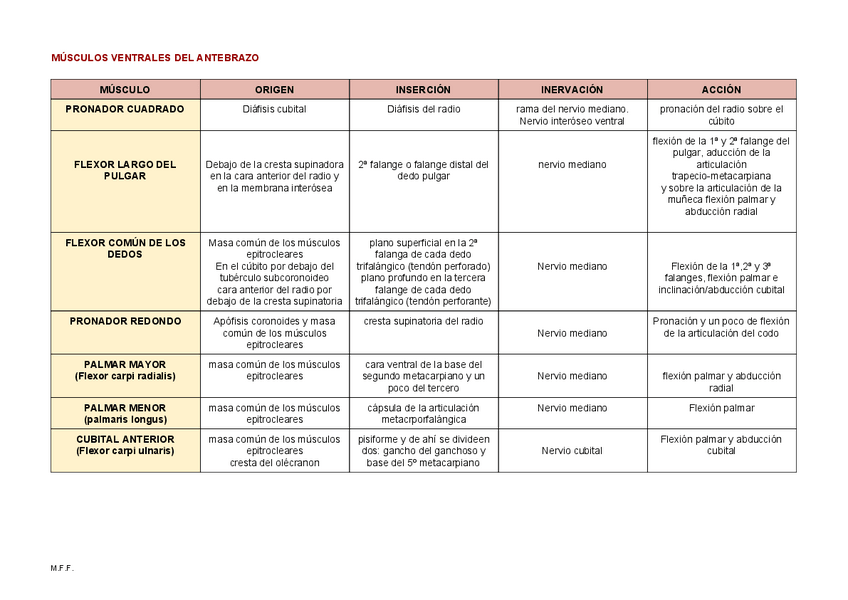 Miniatura del documento MUSCULOS-DEL-ANTEBRAZO.pdf
