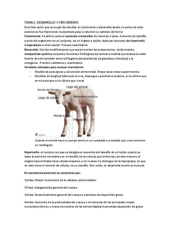 Miniatura del documento morfo-entero.pdf