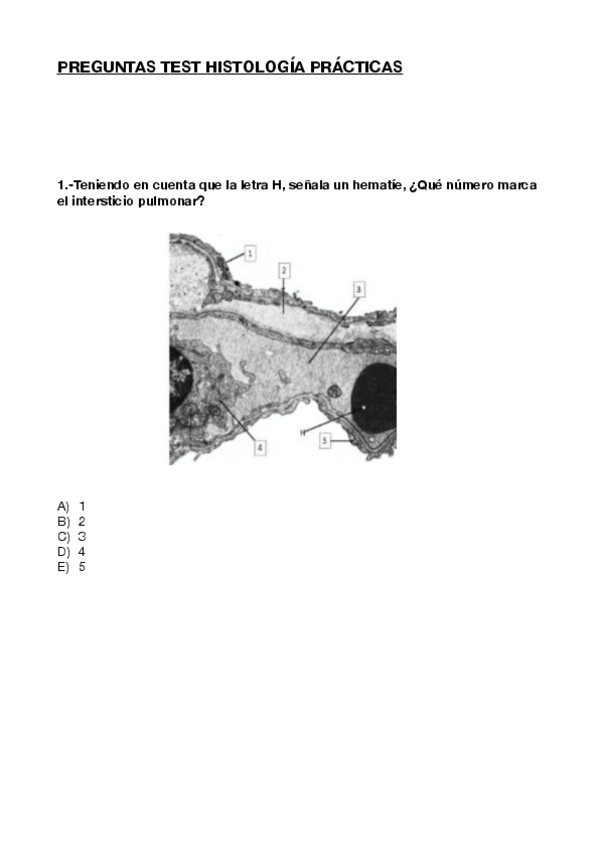 Miniatura del documento Test-histologia-practicas.pdf