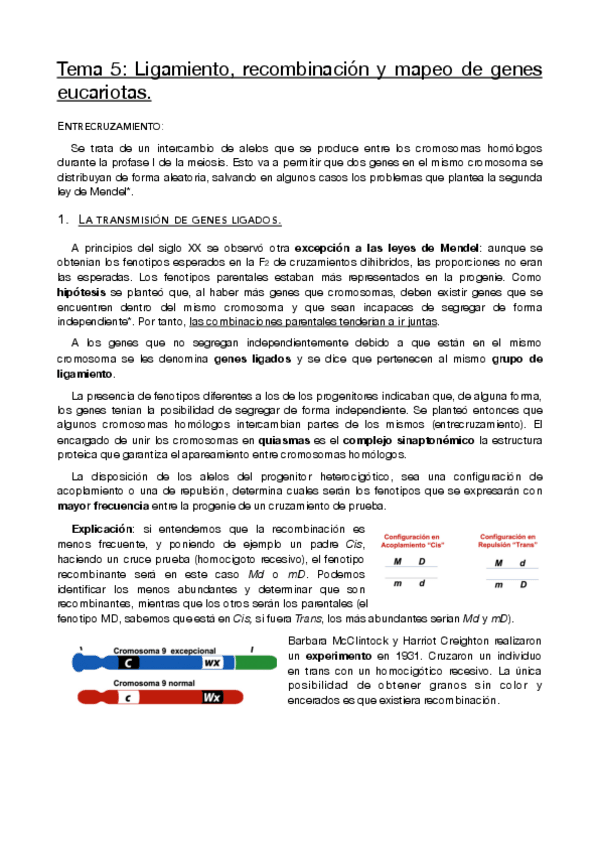 Miniatura del documento Tema-6-Limpio-Genetica.pdf