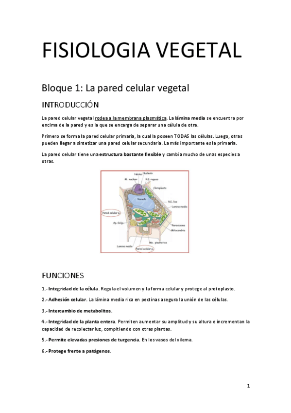 Miniatura del documento Apuntes-primer-cuatri-f.pdf