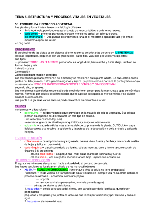 Miniatura del documento apuntes-tema-5.odt