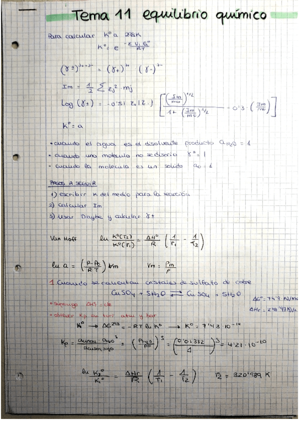 Miniatura del documento tema-11-termo.pdf