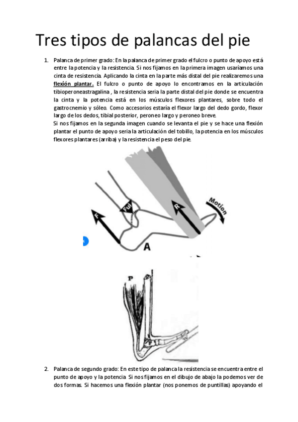 Miniatura del documento PALANCAS-DEL-PIE.pdf