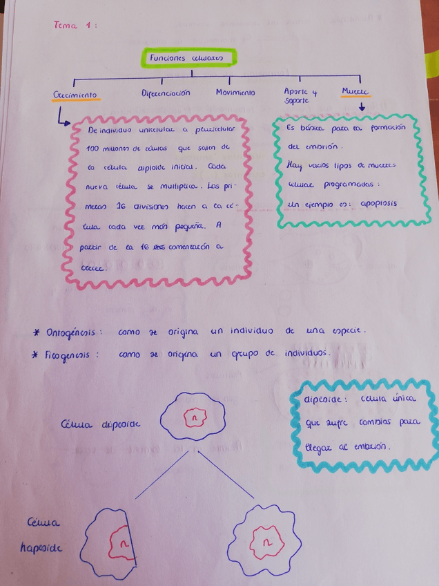 Miniatura del documento 78966.pdf