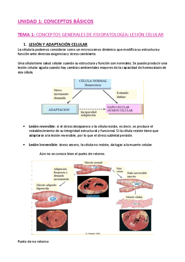 Miniatura del documento TEMAS.pdf