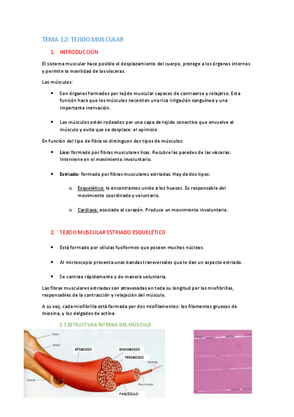 Miniatura del documento TEMA-12-apuntes.pdf