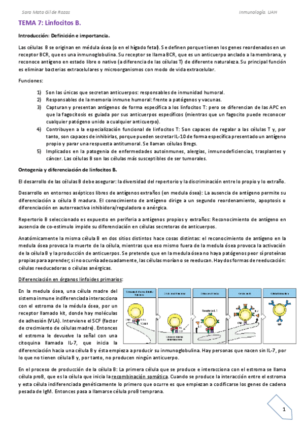 Miniatura del documento TEMA-7.pdf