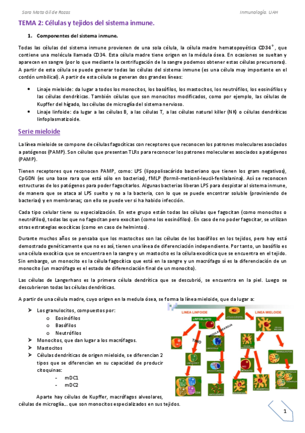 Miniatura del documento TEMA-2.pdf