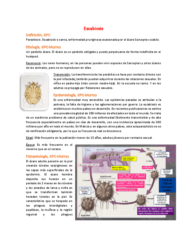 Miniatura del documento 8-Escabiosis-Leishmaniasis-pediculosis.pdf