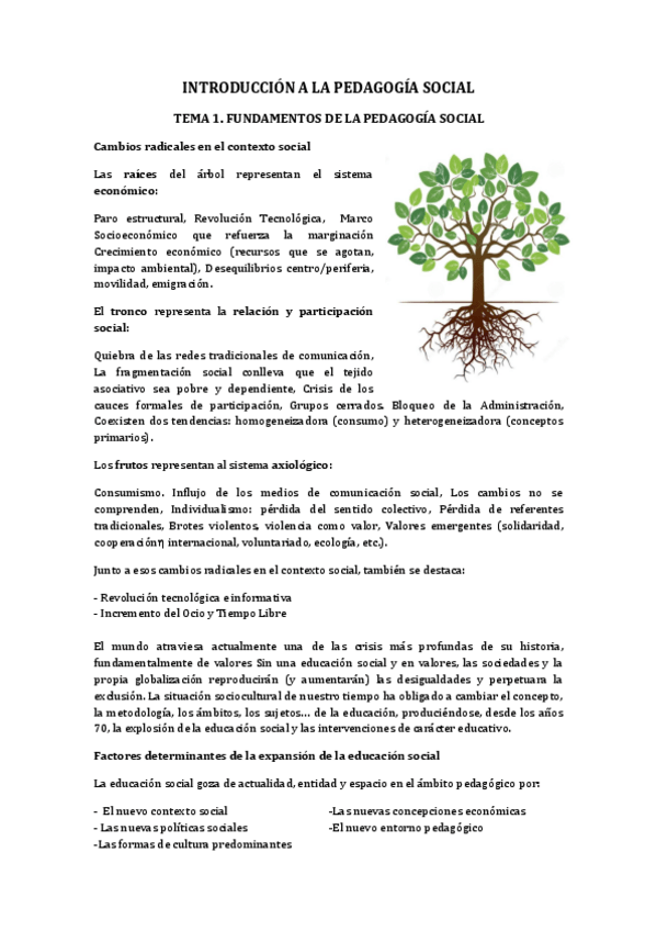 Miniatura del documento TEMA-1-2.pdf