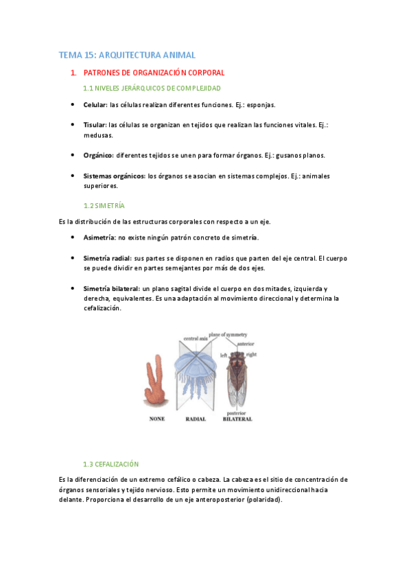 Miniatura del documento TEMA-15-apuntes.pdf