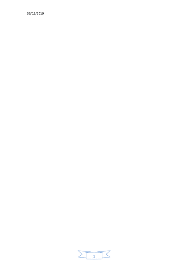 Miniatura del documento 30122019.pdf